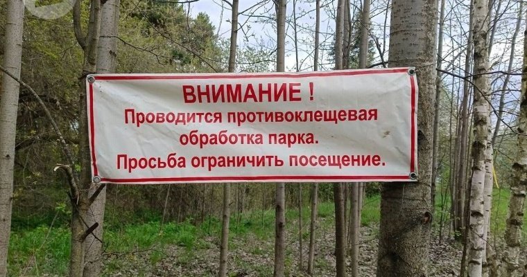 Для жителей Удмуртии инфекционист перечислил симптомы энцефалита