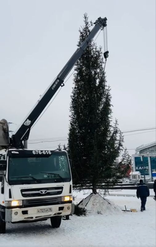 В парках Ижевска начали установку новогодних ёлок 