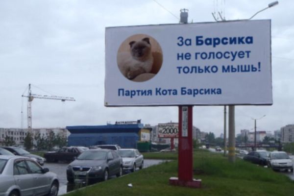 Кот Барсик выдвинет свою кандидатуру на выборах Президента России