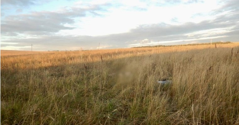 Молодая ижвечанка замерзла насмерть в поле в Воткинском районе