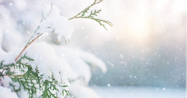 Небольшой снег ожидается в Удмуртии 24 января