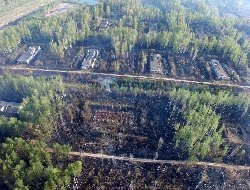 Боеприпасы с территории бывшей военной части в удмуртском Пугачево планируют собрать до июля
