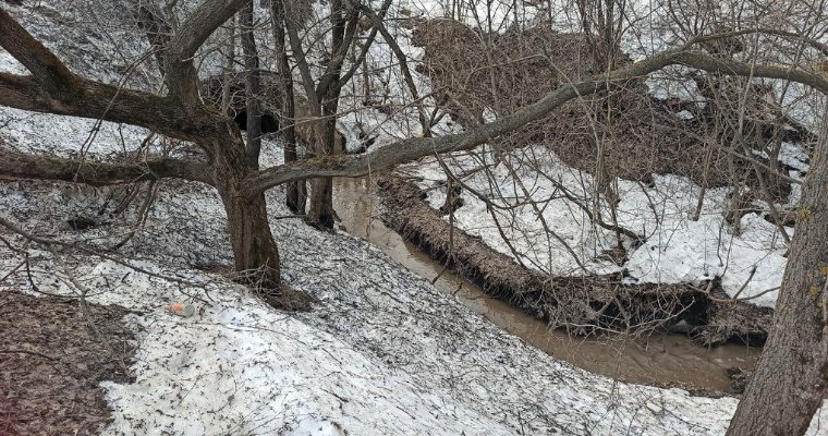 Суд обязал Минприроды Удмуртии определить зоны затопления в Можге во время паводка