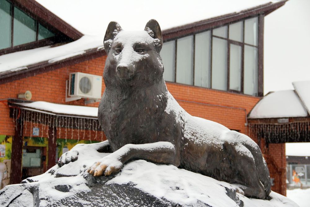 В ижевском зоопарке не стали ограничивать льготное посещение для многодетных семей