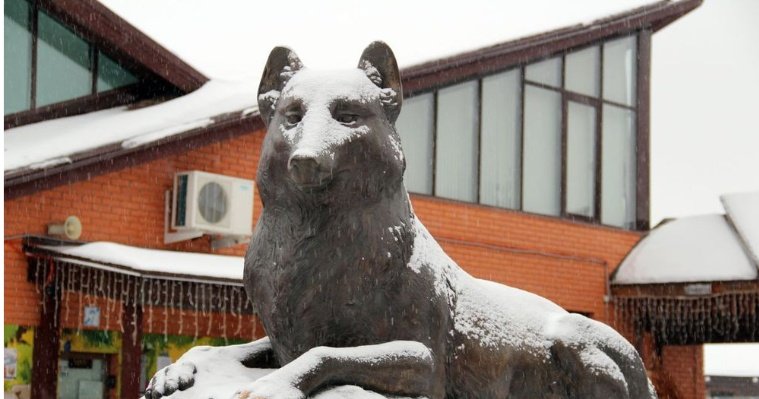 В ижевском зоопарке не стали ограничивать льготное посещение для многодетных семей