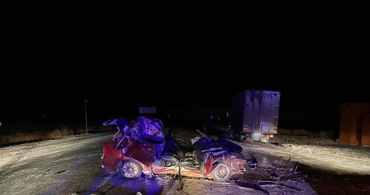 На трассе в Удмуртии легковушка врезалась в стоявшую с «аварийкой» фуру, пассажир погиб 