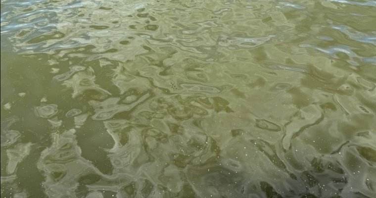 В Удмуртии семь водоёмов признали пригодными для купания