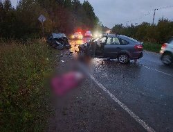 При столкновении двух «Грант» в Ижевске погиб один из водителей