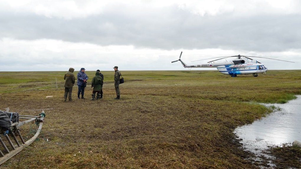 

Напавших на чум оленеводов медведей отогнали вертолетом на Ямале

