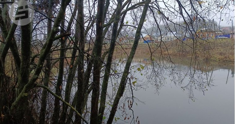 До +8 градусов потеплеет в Удмуртии 