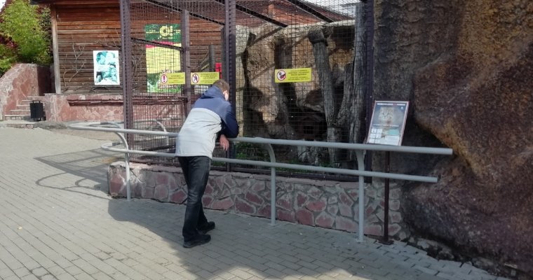 Защита от посетителей: в зоопарке Удмуртии перестали экспонировать песцов
