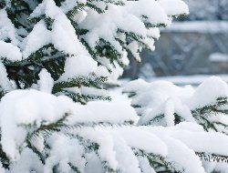 Снегопады и гололедица ожидаются в Удмуртии 22 января
