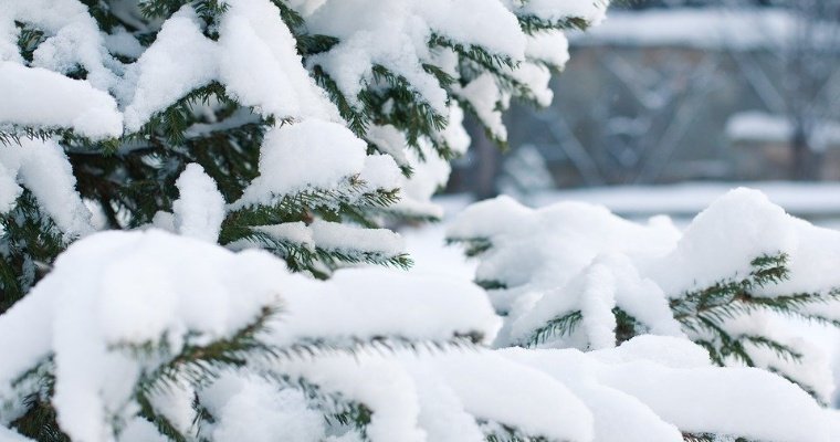 Снегопады и гололедица ожидаются в Удмуртии 22 января
