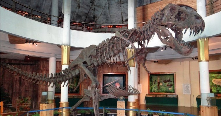 В Швейцарии устроят аукцион для продажи скелета тираннозавра 