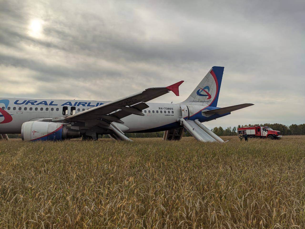 Самолёт Уральских авиалиний экстренно сел на пшеничное поле под Новосибирском