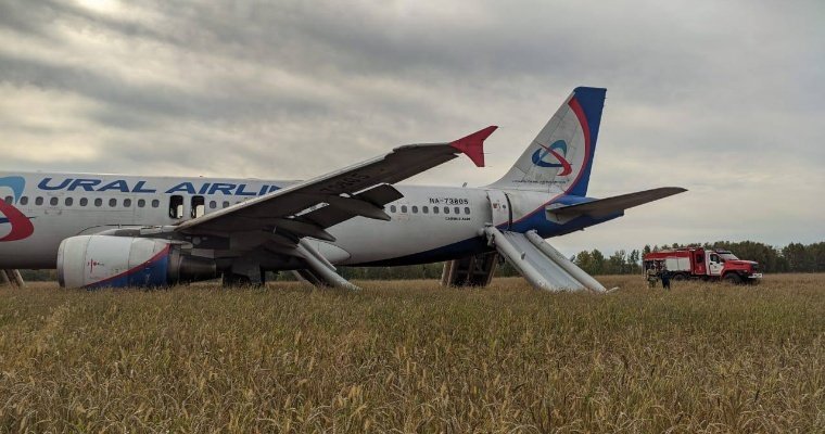 Самолёт «Уральских авиалиний» экстренно сел на пшеничное поле под Новосибирском