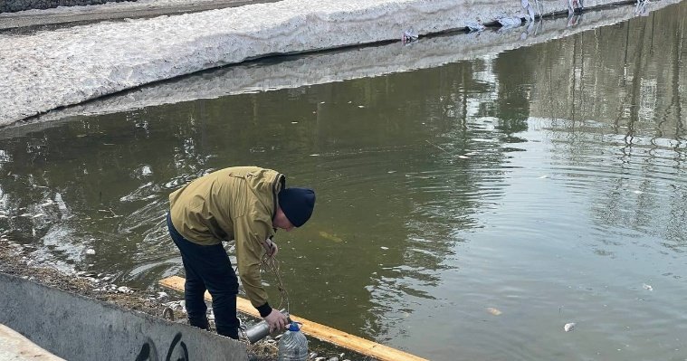 Итоги дня: гибель рыбы в пруду ижевского сквера Драгунова и непризнание вины министром природы Удмуртии