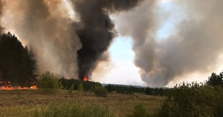 Распространение лесного пожара в Каракулинском районе удалось остановить