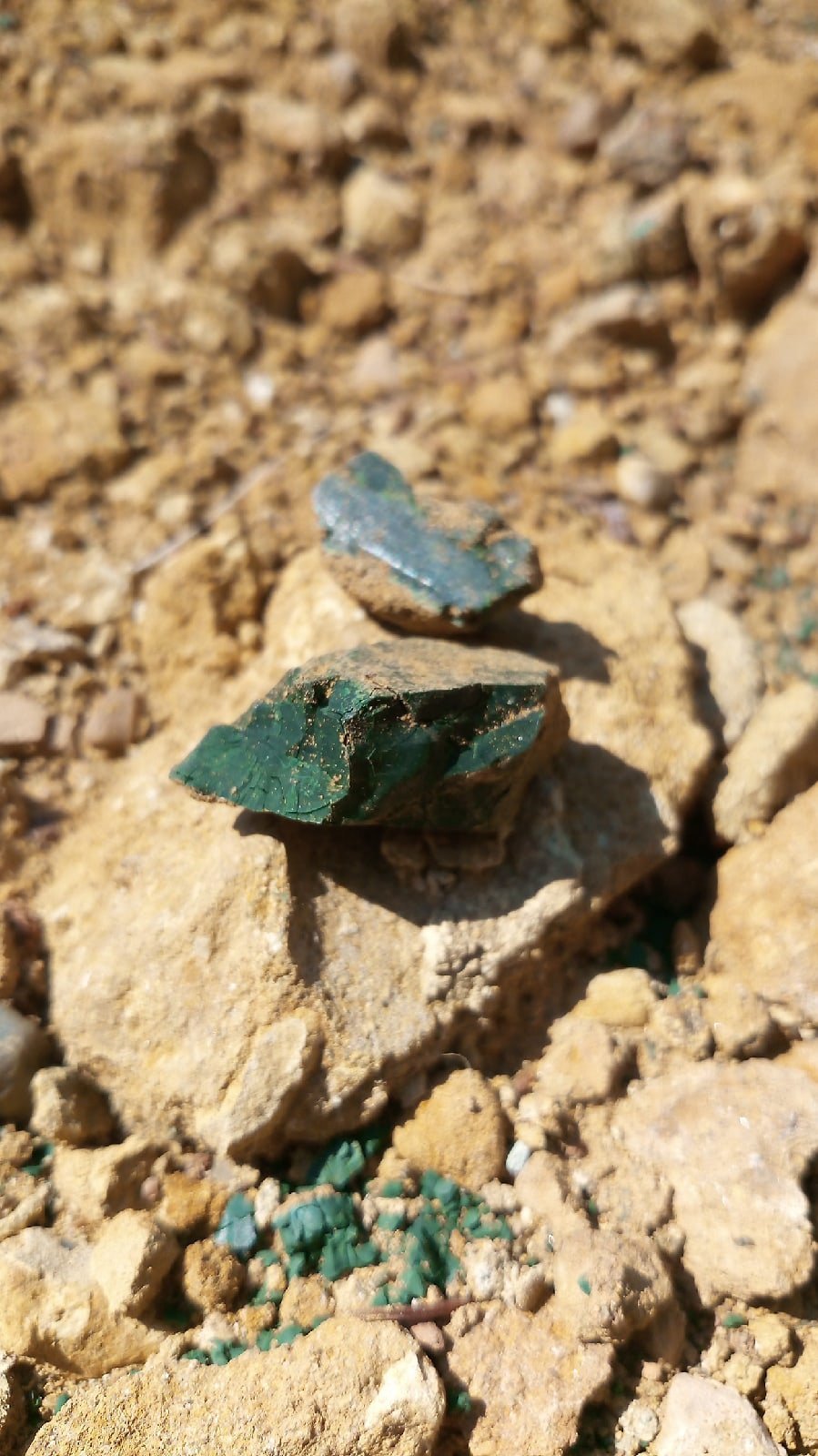 Во время раскопок в Шаркане нашли редкий минерал волконскоит