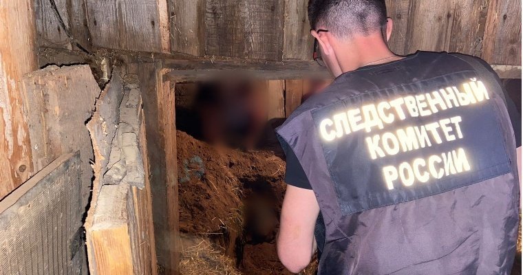 Жителя Кизнерского района Удмуртии отправили под суд за убийство односельчанина топором