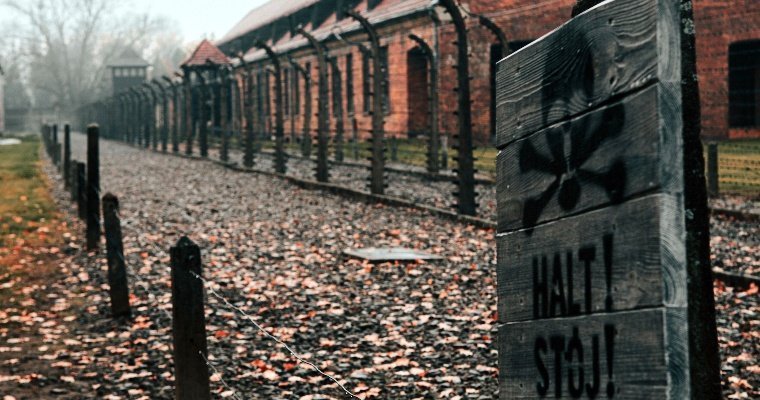Жителя Ижевска оштрафовали за публикацию нацистской символики в соцсетях