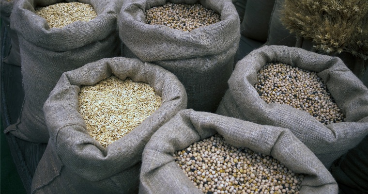 В Удмуртии предотвращен ввоз более 5 000 тонн зараженного зерна 