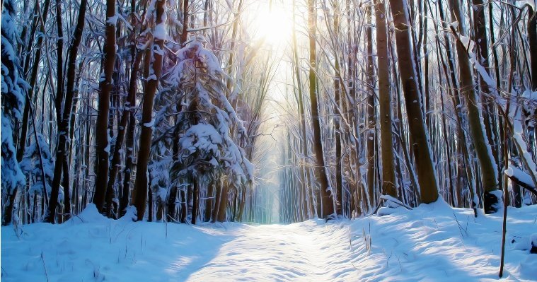 Небольшой снег и до минус 6 градусов обещают в Удмуртии 9 декабря