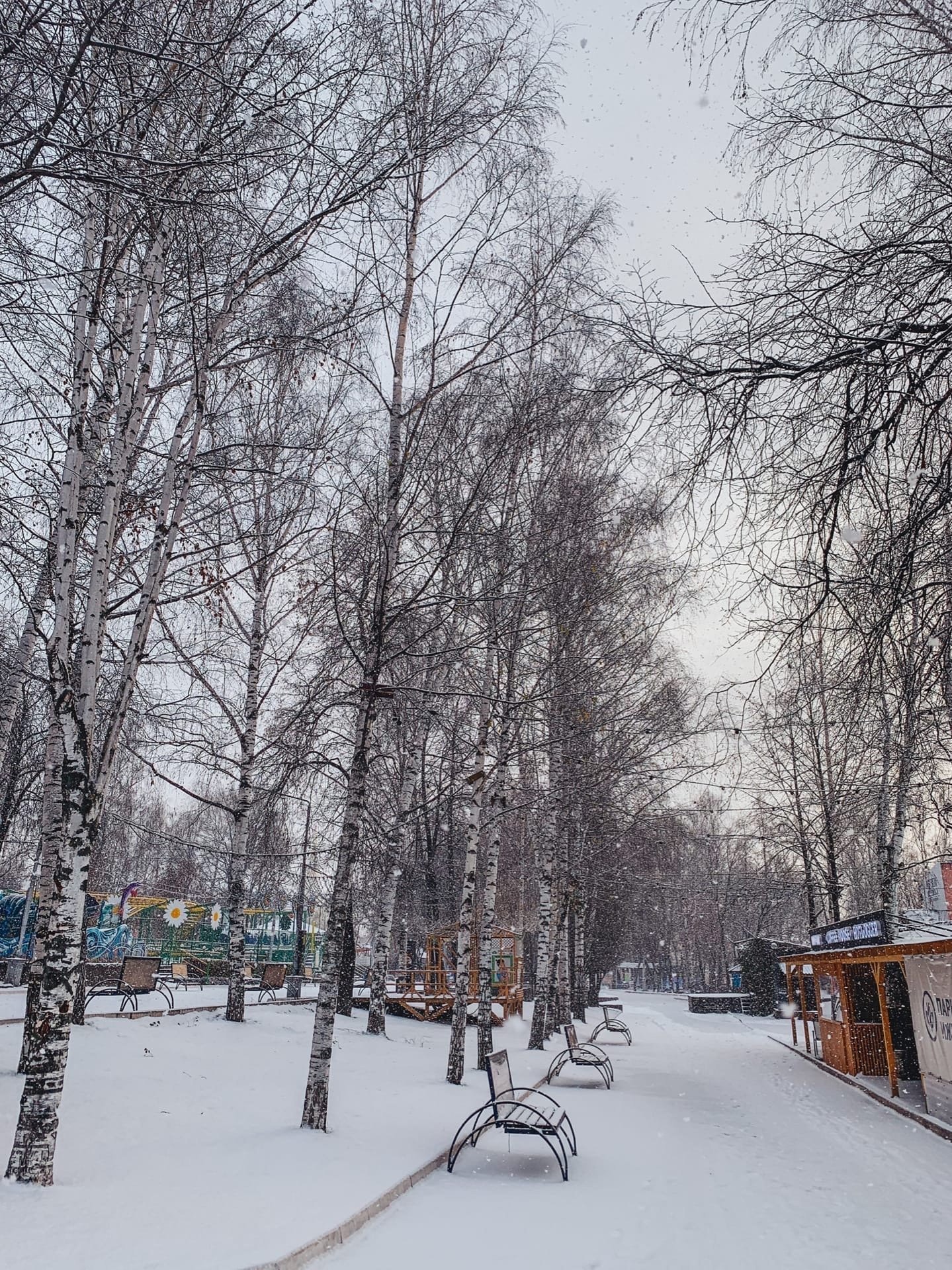 Аудиосказки в парке Кирова в Ижевске и запрет использования телефонов на уроках в школе: новости к этому часы