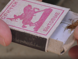 Борцов с насекомыми заподозрили в разведении тараканов в многоквартирных домах Ижевска