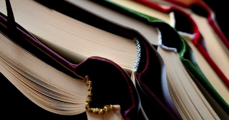 Библиотечный шеринг: жителей Ижевска приглашают поучаствовать в «Книгообмене»