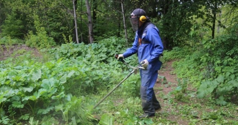 4 августа пройдёт экологическая акция в Ярушкинском парке Ижевска