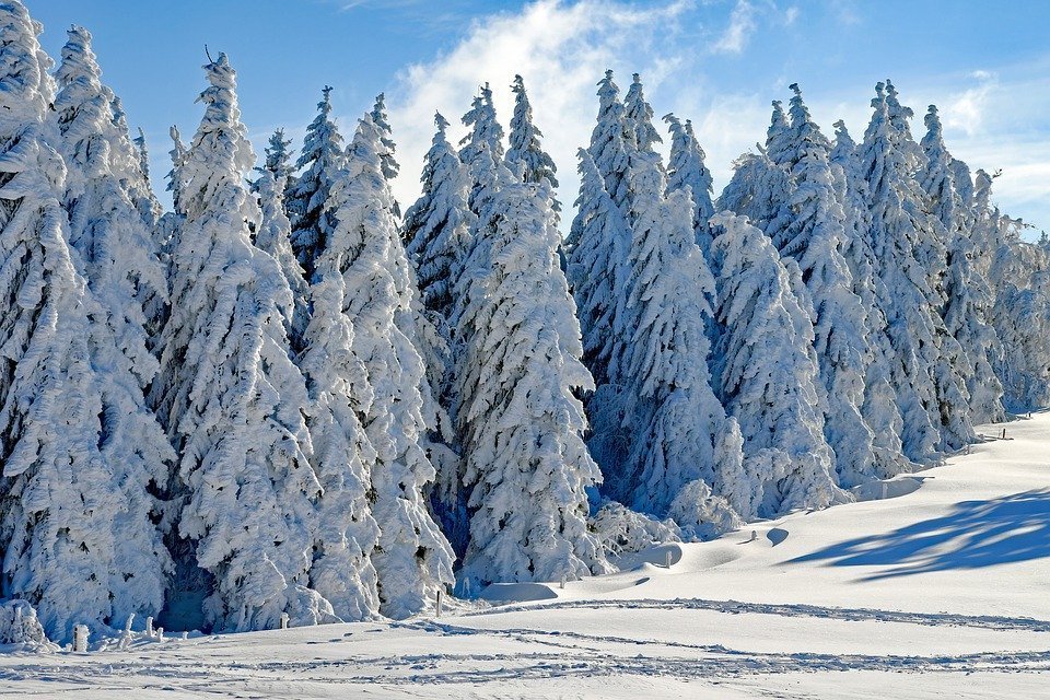 В последние выходные декабря в Удмуртии похолодает