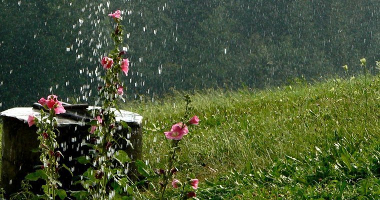Дожди и небольшое потепление ожидаются в Удмуртии на этой неделе