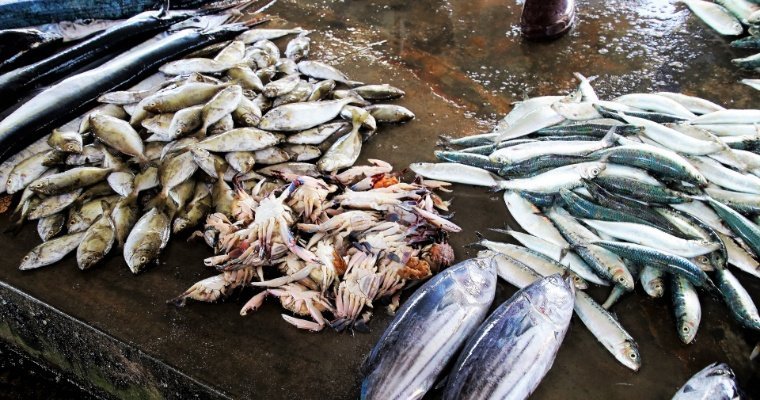 В Удмуртии изъяли более 100 кг незаконно пойманной рыбы 
