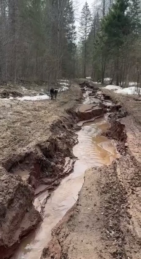 В Удмуртии возбудили уголовное дело после сообщения о размытой дороге в Завьяловском районе