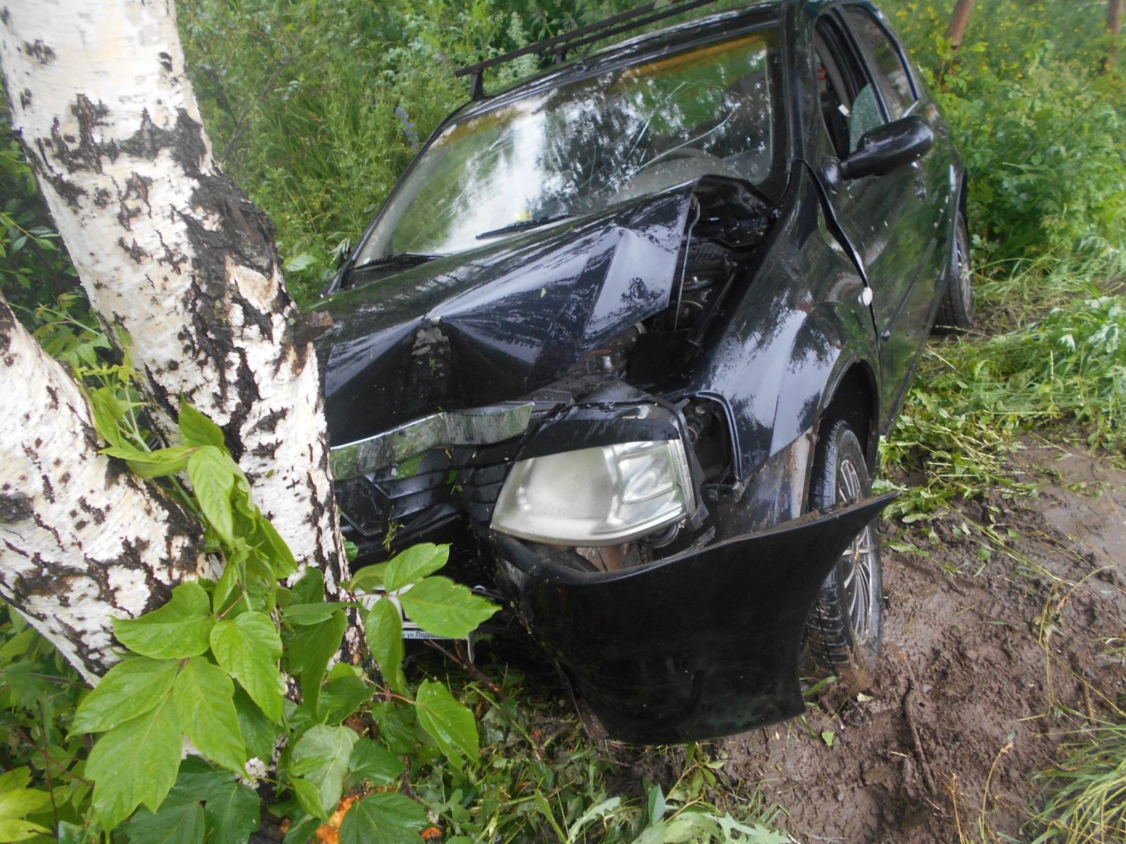 В Воткинске пьяный водитель врезался в дерево