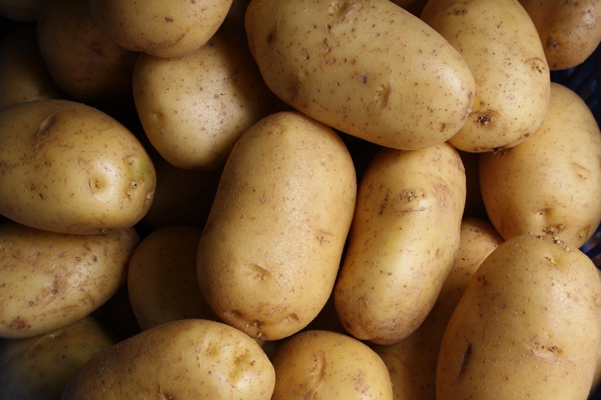 В Казахстан из Удмуртии экспортировали 180 тонн картофеля за сентябрь