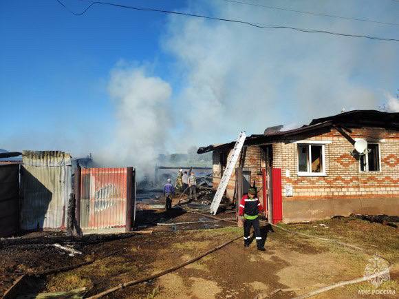 Теленок и 15 кур погибли в пожаре в Алнашском районе