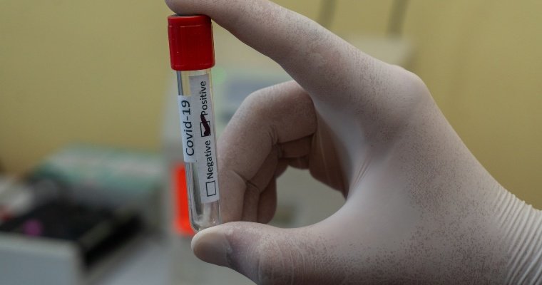 В Удмуртии за сутки провели 1 645 тестов на коронавирус