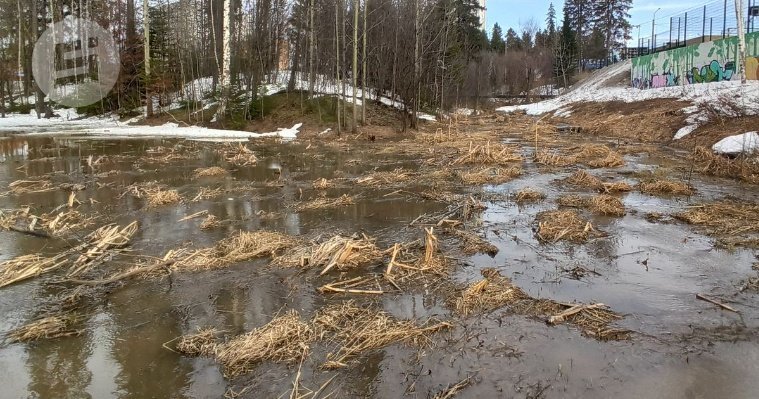 В Ижевске подтопило дома на «Болоте»