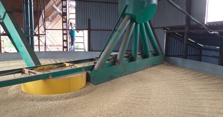 Более 77 тысяч тонн семян заготовили аграрии Удмуртии под яровой сев в 2022 году