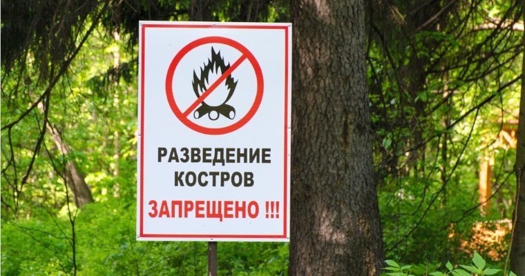 В Удмуртии сняли запрет на посещение лесов