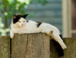 Жара вернётся в Удмуртию во второй половине недели