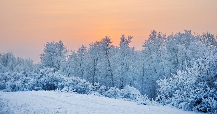 До -19 градусов похолодает в Удмуртии 28 января