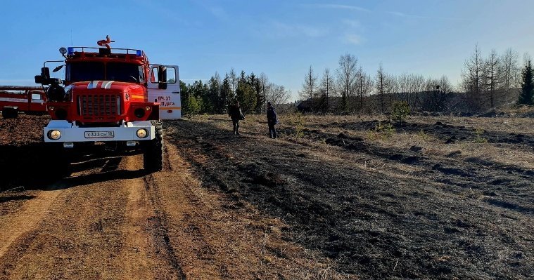 За четыре дня в Удмуртии произошло 8 возгораний сухой травы