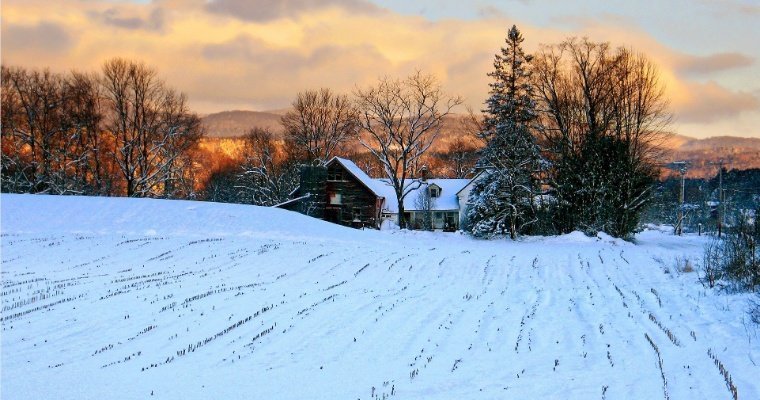 Озимые зерновые на полях Удмуртии надежно укрылись снежным покровом
