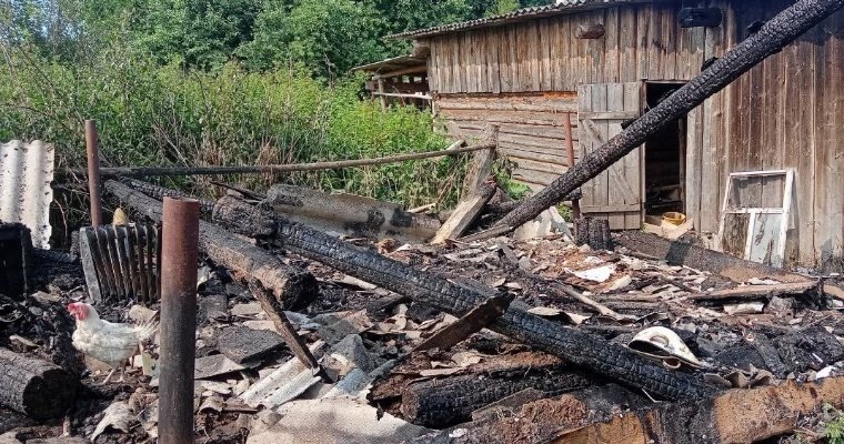 Сарай сгорел в Вавожском районе из-за непотушенной золы 