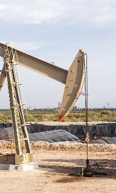 В Удмуртии собираются продать одно из газонефтяных месторождений