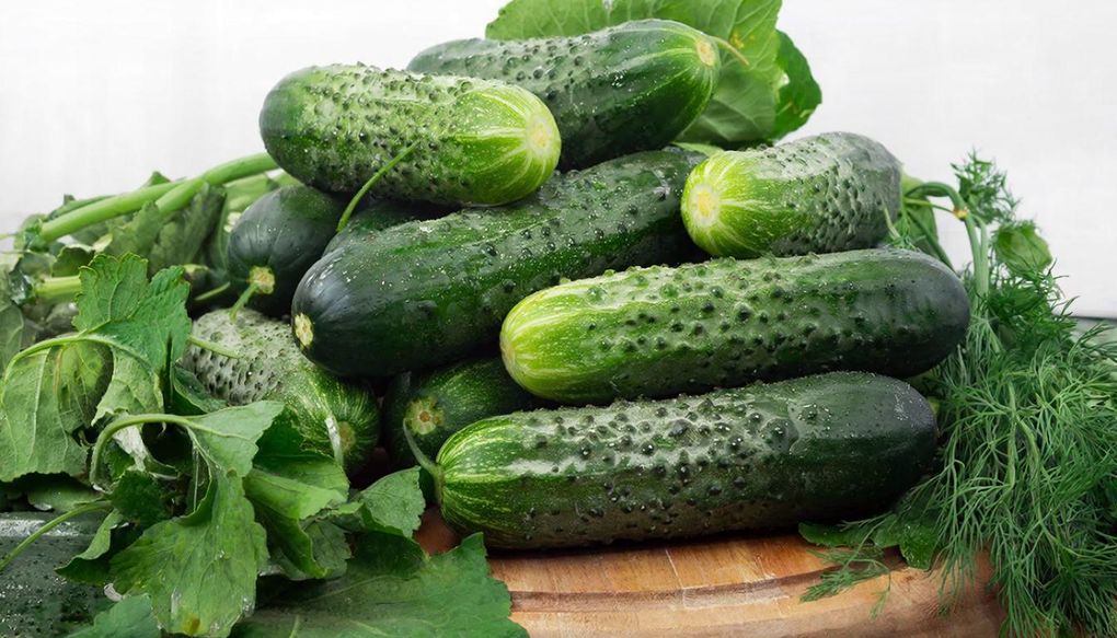 Огурцы значительно подешевели в Удмуртии