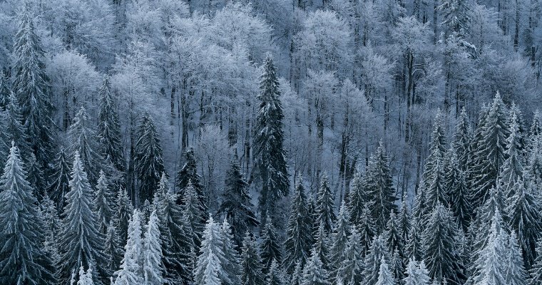 Небольшой снег ожидается в Удмуртии 24 января 